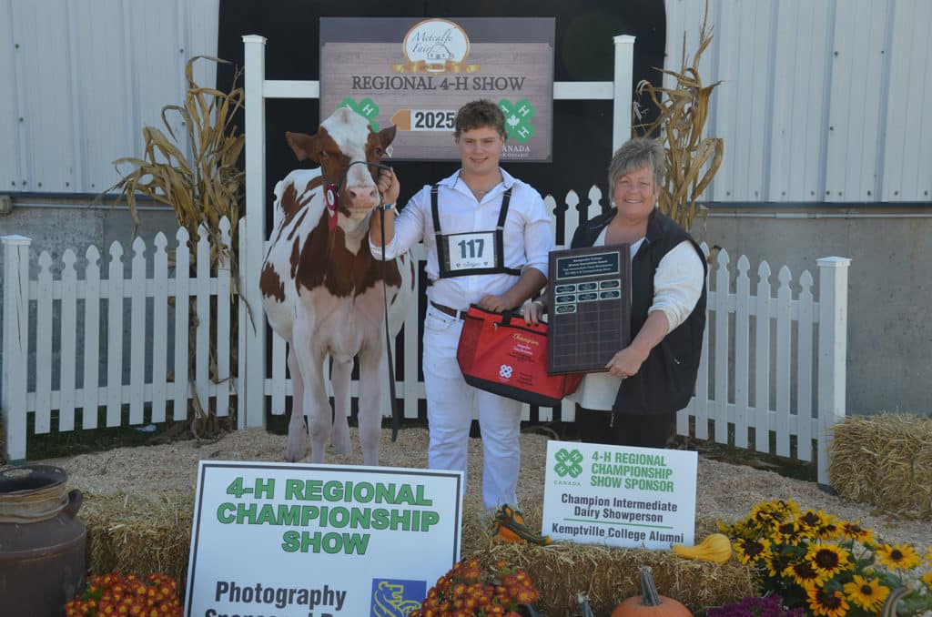4-H  Intermediate Dairy Showmanship Winner